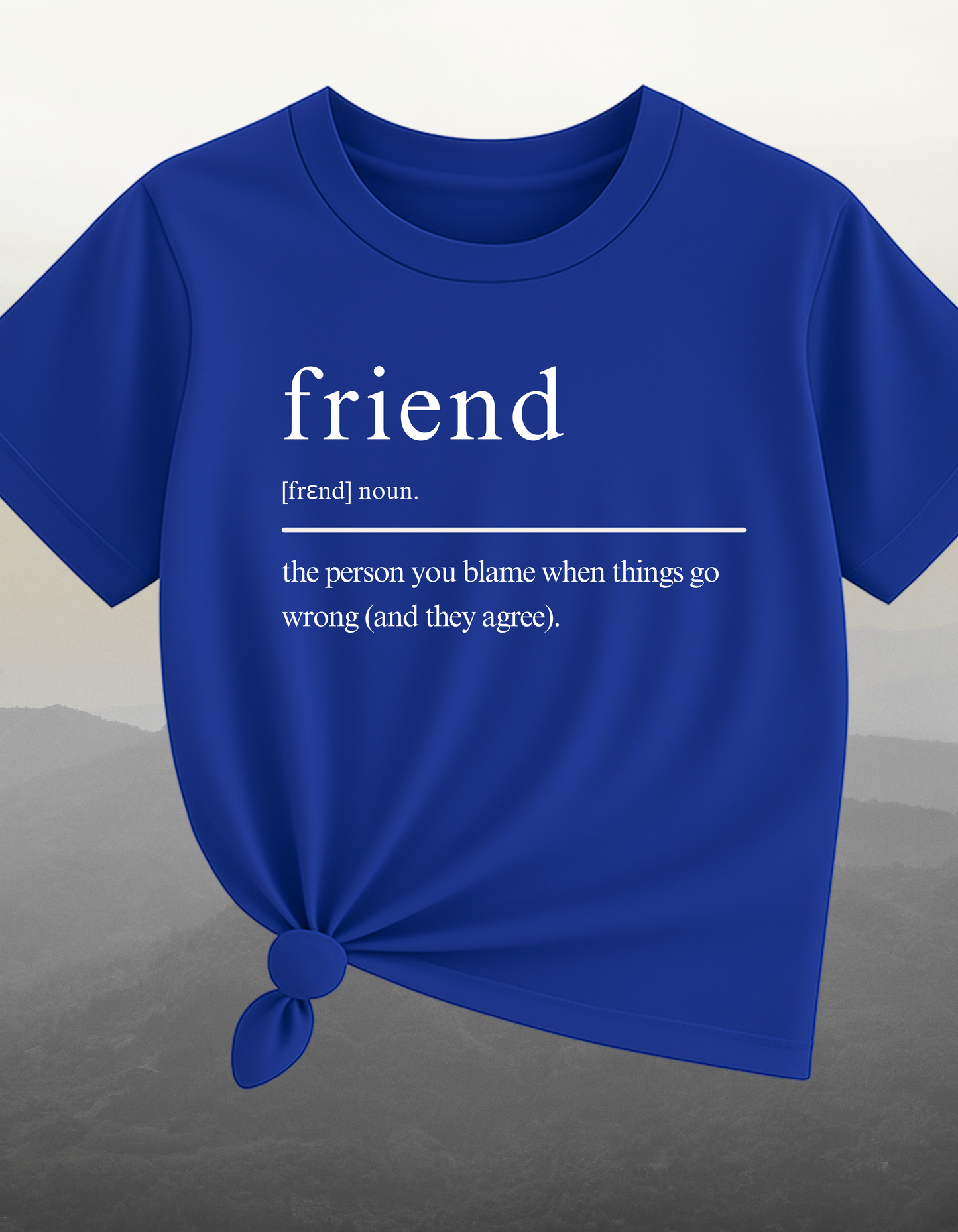 The Blame Buddy Blue T-Shirt – Gift for Best Friend